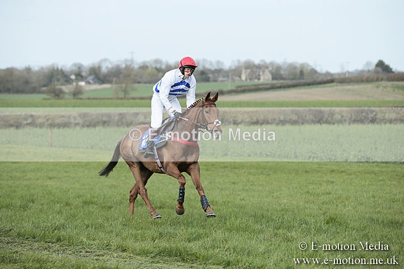 PtP 230319 379 - VWH Hunt Siddington Point-to-Point Racing 23/03/19