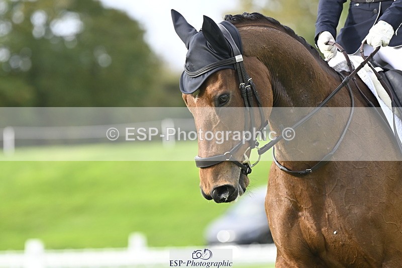 251023A-104037-02901 - F-407-Helen.Jackson