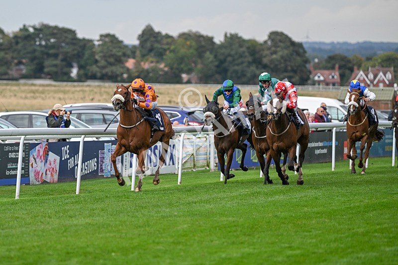 240924-Race 5-Ifonlytheycudtalk-6456 - Race 5
