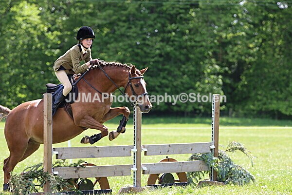 IMG_3642 - Working Hunter