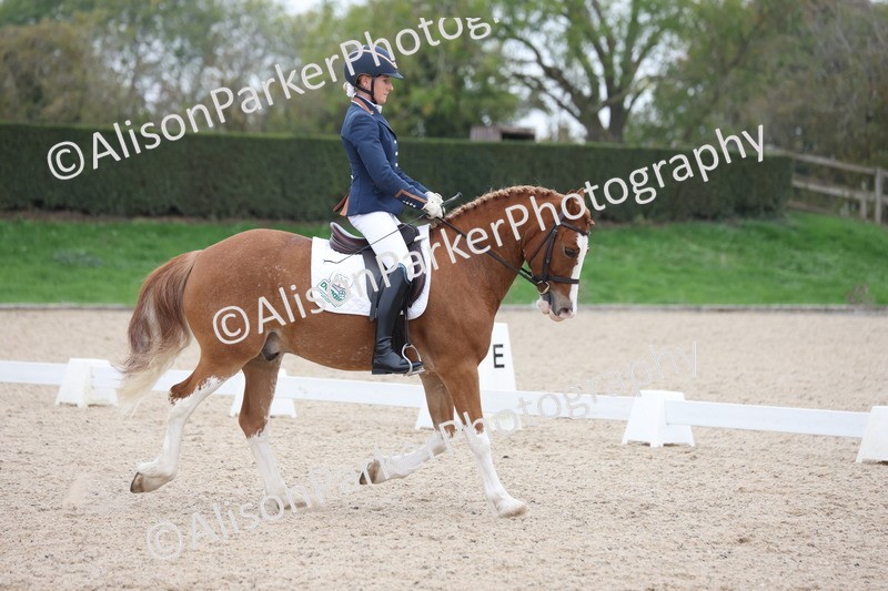 20251011-0360 - Class 3 - Prelim 2