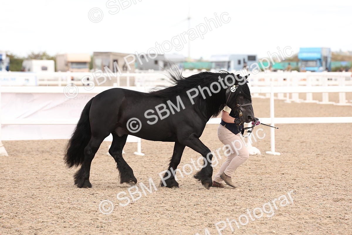 SBM_15150 - Class 209 - IH Veteran Pony