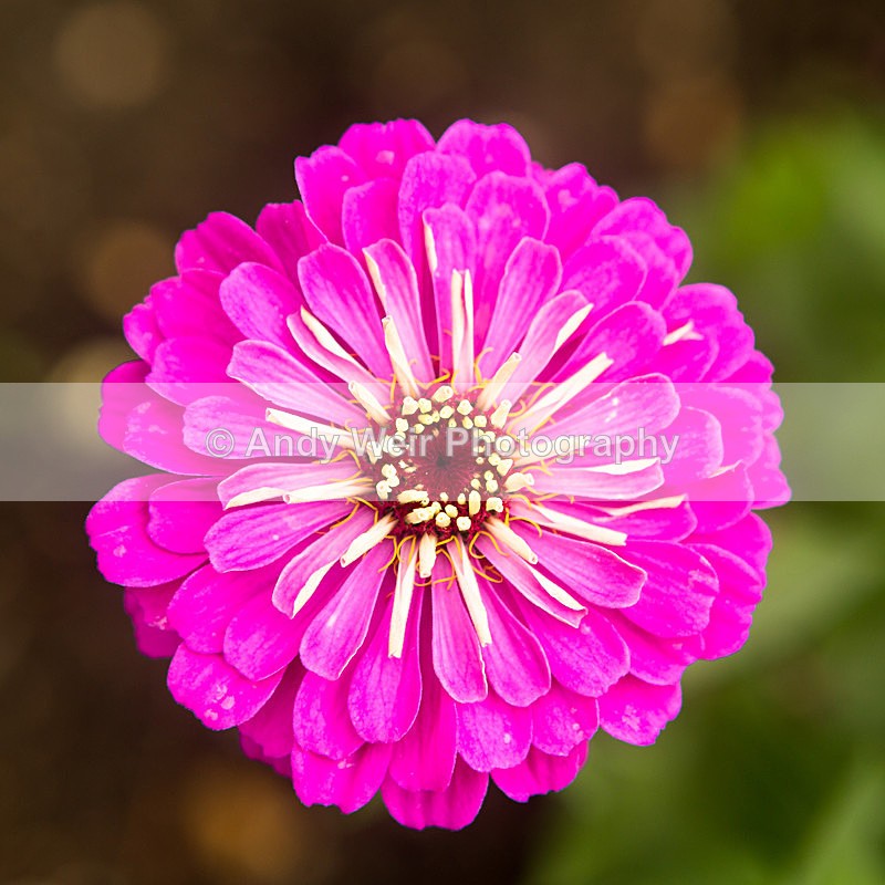 20131002-3K8A6762 - Plants & Flowers