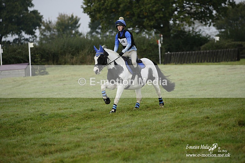 WWHT 171021 0242 - Novice Restricted (0.80m)  17/10/21