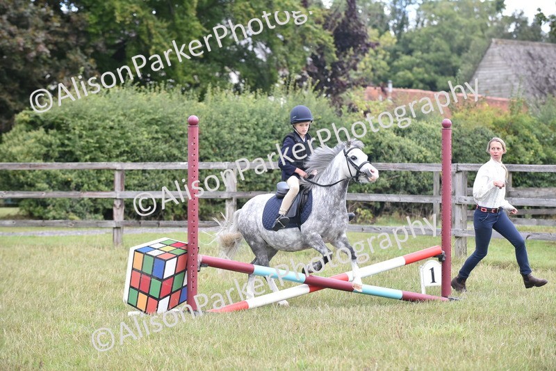 20250831-1842 - Class 9 - Absolute Novice 45cm