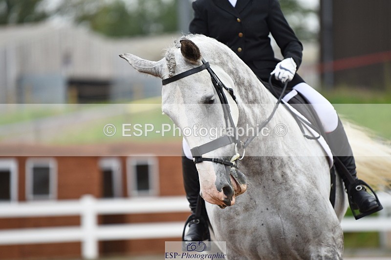 230912A-093002-00067 - Cls 4 Novice 22