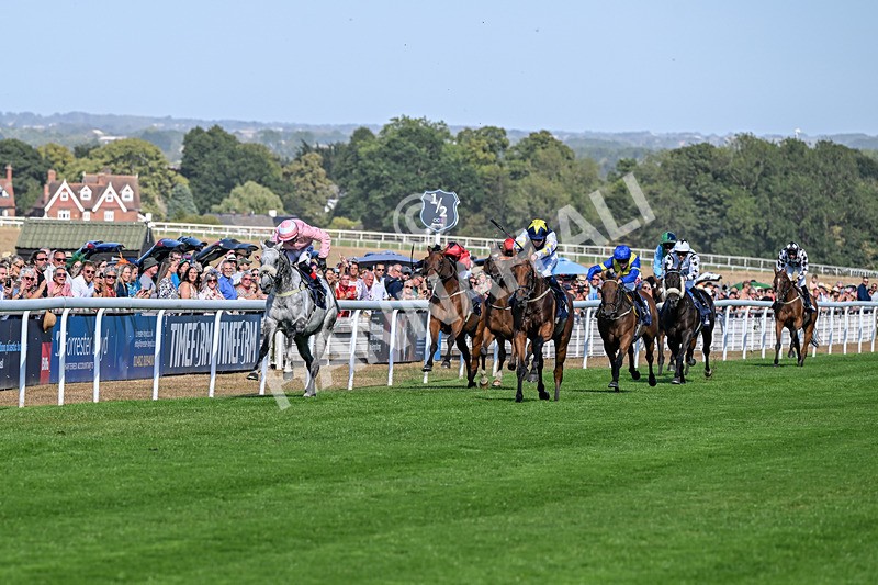 120826-Race 5-Ciao Capo-6918 - Race 5 16.15pm Cayenne Electric At Porsche Centre Hull Handicap