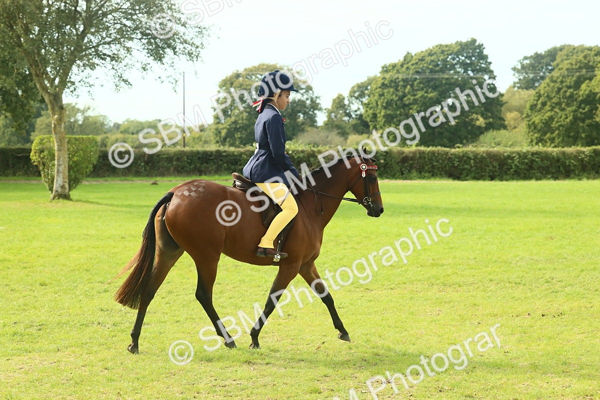 SBM_68170 - S57 - Part Bred Pony Ridden