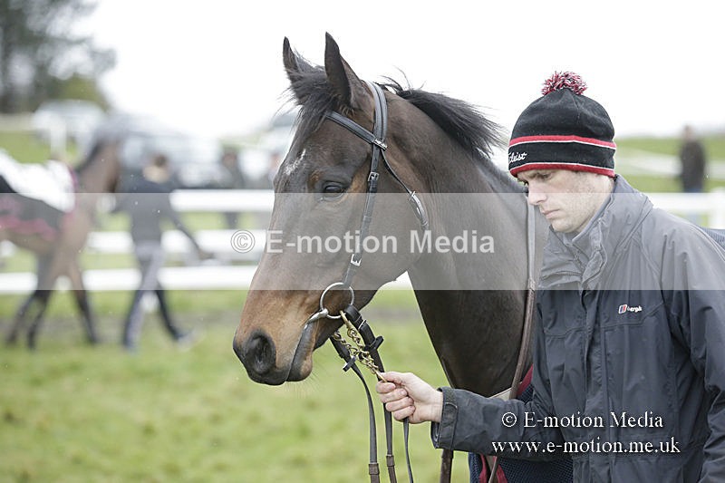 PtP 150320 0259 - New Forest Point-to-Point Larkhill 15/03/20
