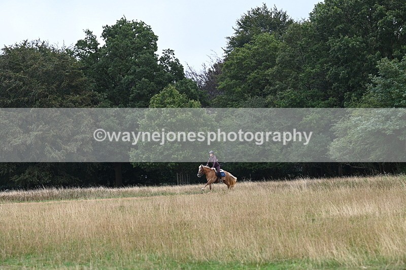 DSC_0142 - Time at Statue 09:51 to 10:54