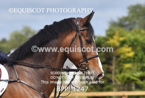 BPP_1247 - Senior Foxhunter/ 1.20m Open