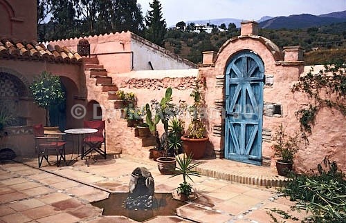 Courtyard garden - Gardens & plants