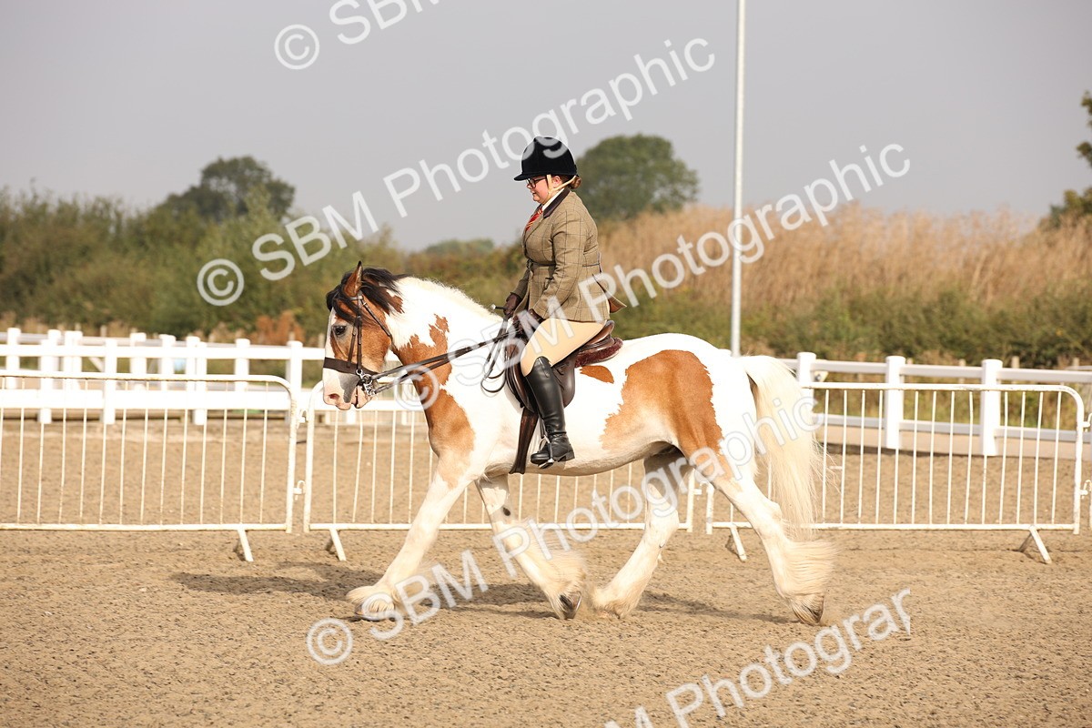 SBM_10266 - Class 402 Riding Club Horse
