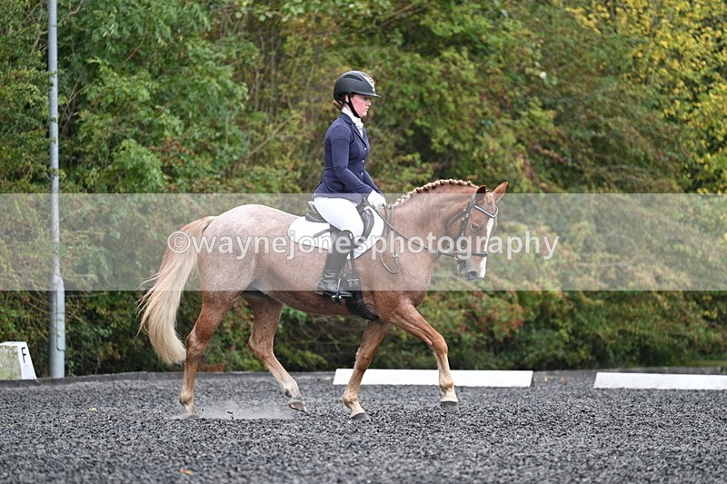 WJ7_3299 - Time 09:54 to 10:54