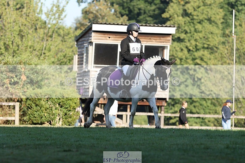 250823A-083936-25746 - Arena D