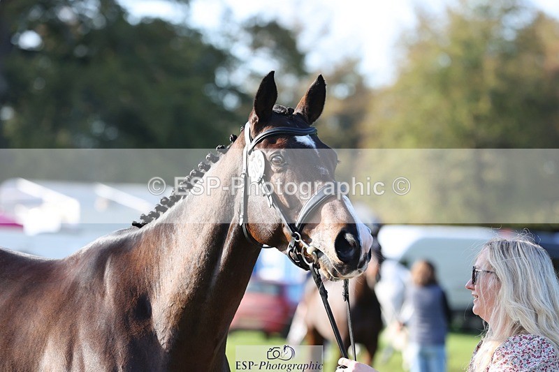 241027-102349-15859 - 505-Abby.James-SNOW.STOPPIN.HIM