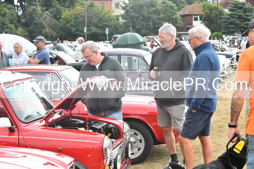 SH4_8821 - Torbay Old Wheels Club