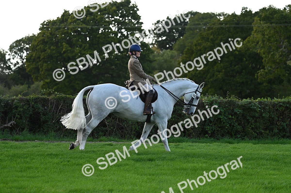 SBM_26520 - S6 - Novice & newcomer Ridden horse