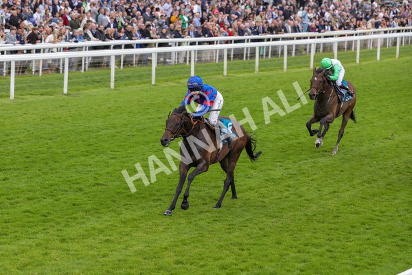 150624-Race 1-Lord Melbourne-6067 - Race 1 1.50pm Queen Mother's Cup Handicap