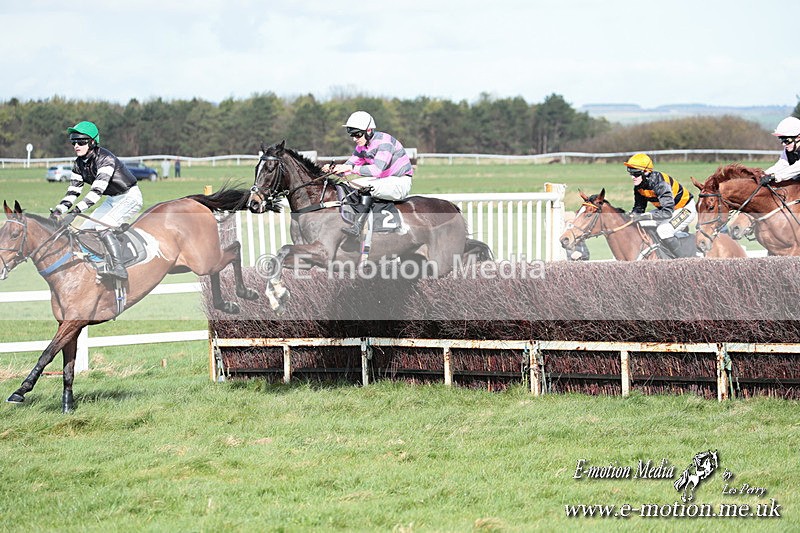 PtP 230324 506 - Tedworth Hunt PtP Larkhill Raccourse 23rd March 2024
