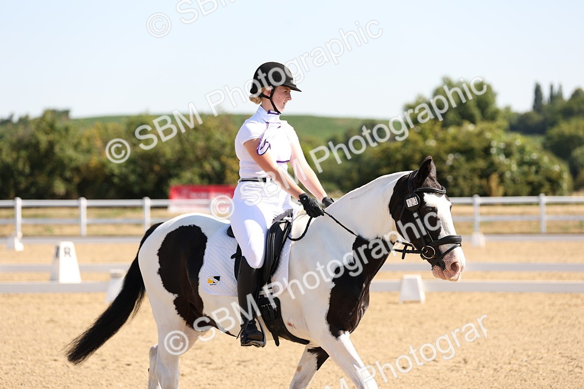 SBM_001006 - Intro 2