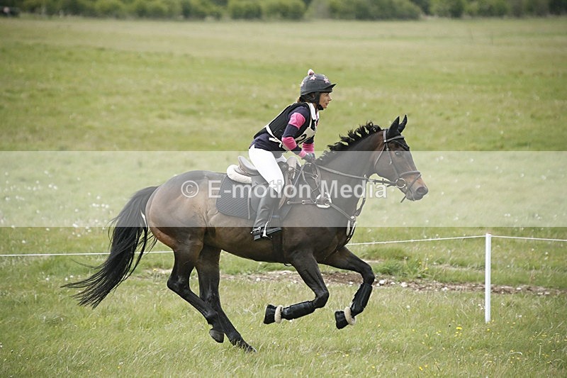 BVHT 140517  NXC -181 - Class 2 XC Novice 14/05/17