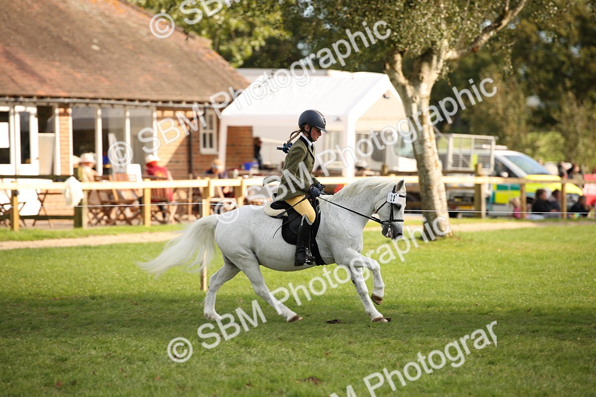 SBM_54249 - S27 - Mature Veteran - Ridden