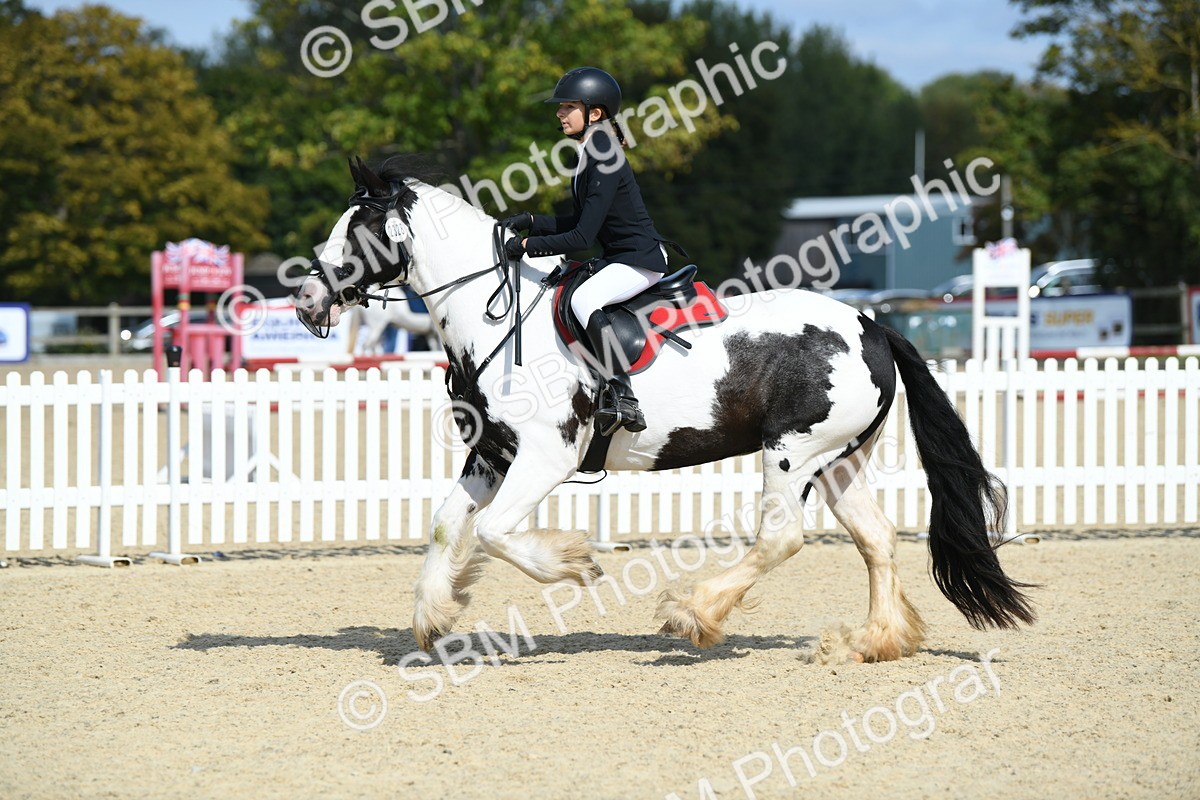 SBM_64803 - J48 - Pairs Jumping Open 70cm & 85cm