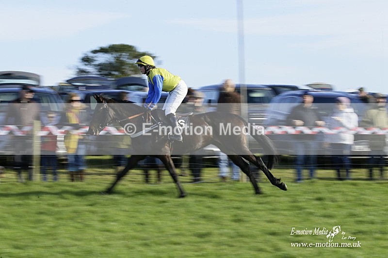 PtP 300122 186 - South Dorset Hunt - Point-to-Point Races 30/01/2022