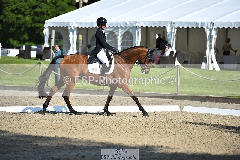 230525-091526-01566 - 303-JESMOND_RENARD-Susie_Berry-WEDTrotUp+DR