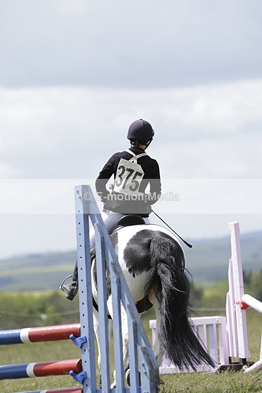 BVHT 140517 N-331 - Class 2 SJ Novice 14/05/17