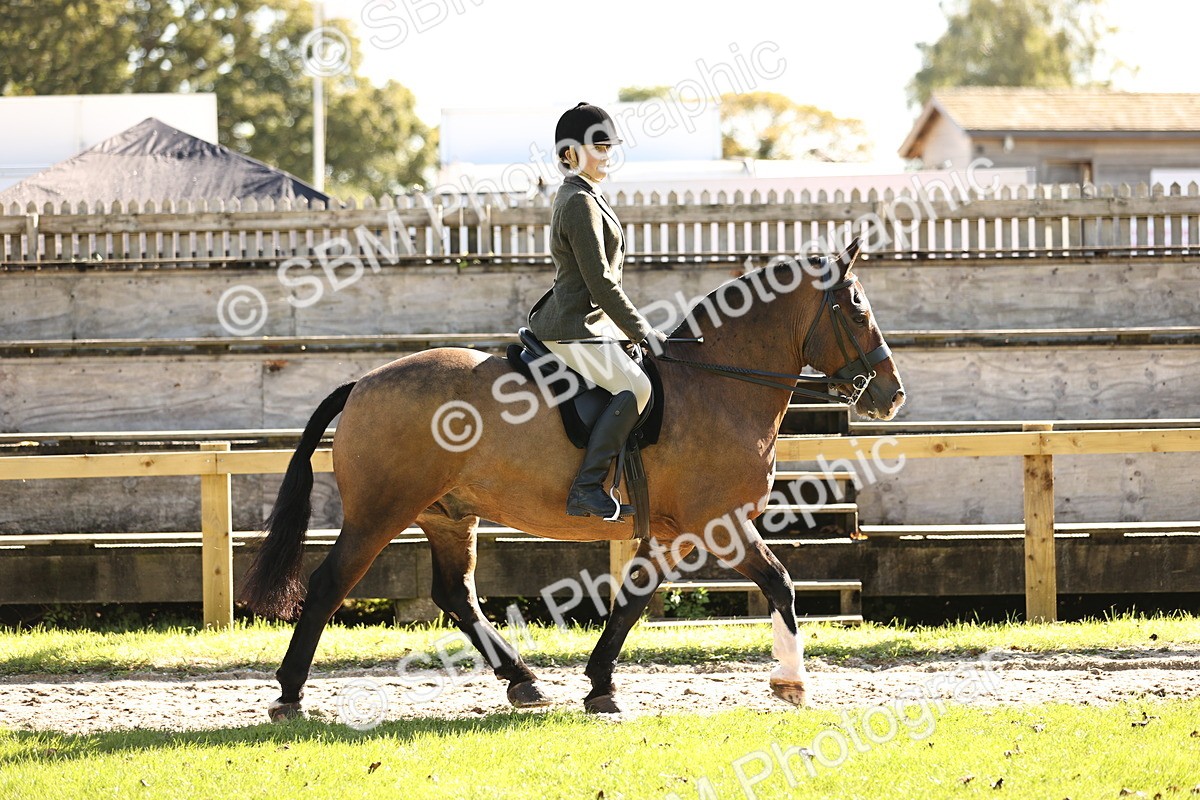 SBM_19074 - S3 - TSR Ridden Pony Showing