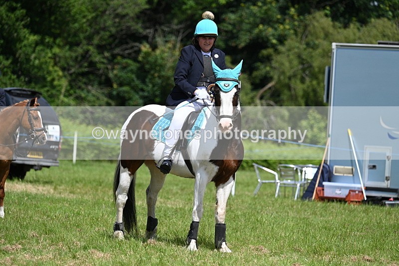 WJ7_1852 - Class 9 Pony Club Pony