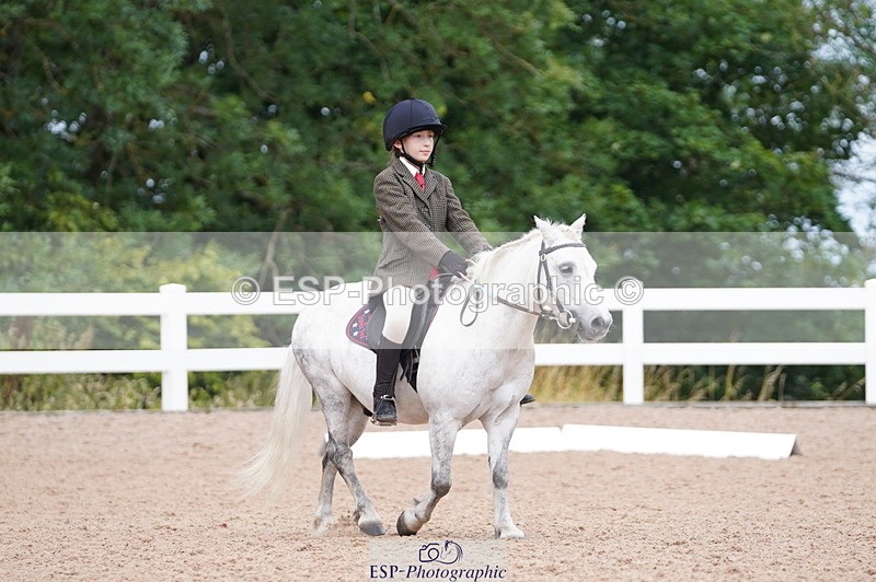 240809A-104428-00642 - Dressage Competition