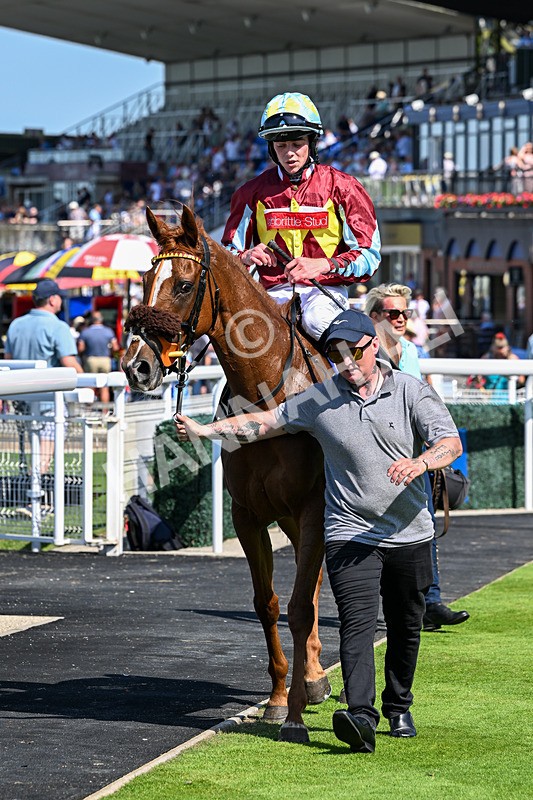 230626-Race 4-Satyress-1197 - Race 4 15.45pm Beverley Annual Badgeholders Handicap