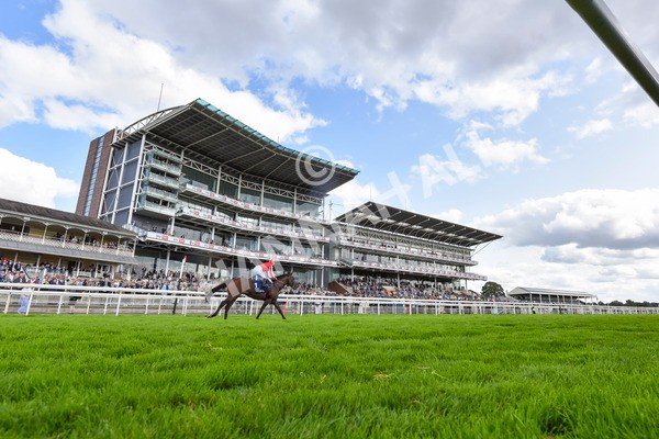 230824-Race 4-Bradsell-4303 - Race 4 3.35pm Coolmore Wootton Bassett Nunthorpe Stakes