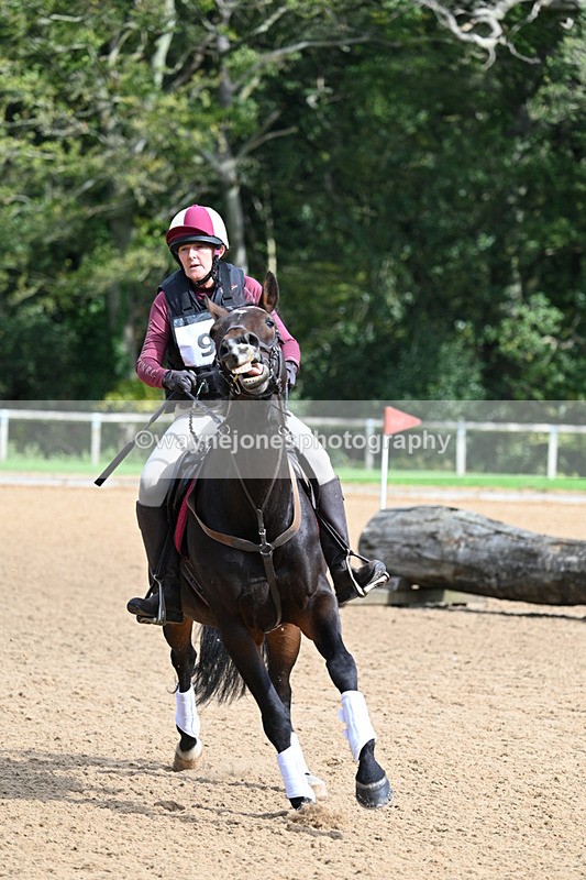 WJ7_3194 - Time 13:20 to 13:58