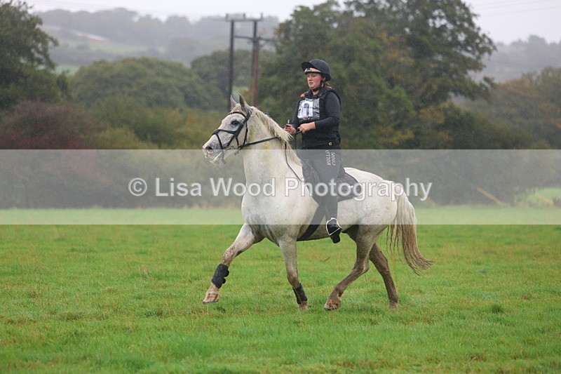 3E7A0962 - Class 1: 65cm: Rails