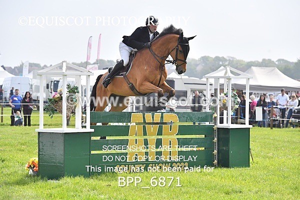 BPP_6871 - CLASS 3 RHS Fox Champ Qual (1.20m)