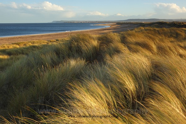 Sand Dunes at Redcar - North Yorkshire and Cleveland