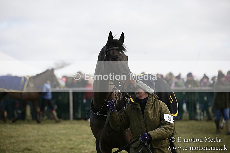 PtP 040218 69 - Point-to-Point Milborne St Andrew 04/02/18