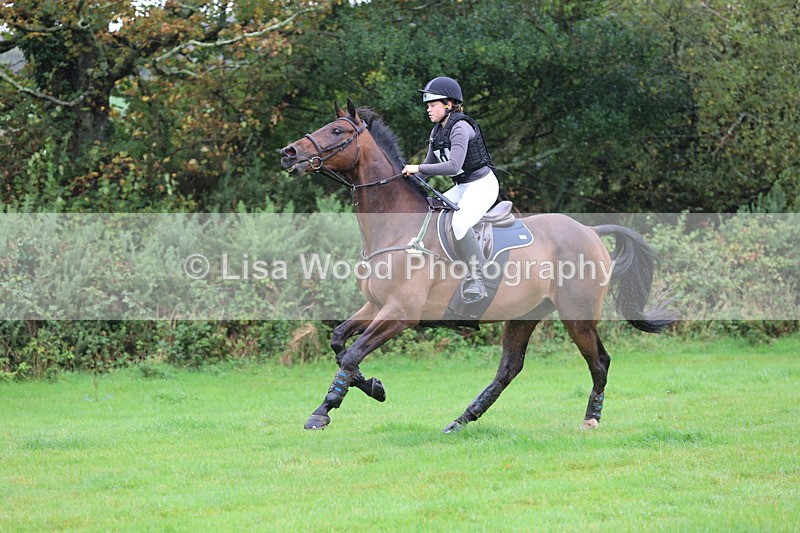 JPP_5384 - Class 4: 80cm: Crossed Logs