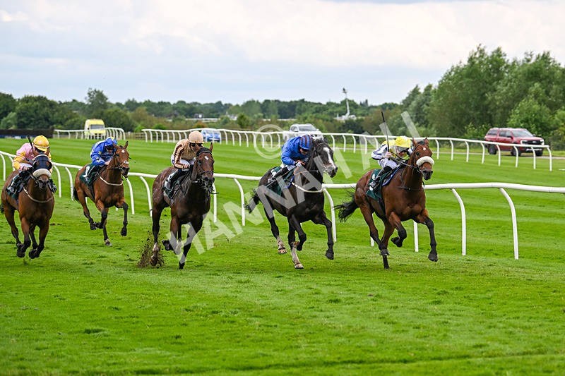 180624-Race 4-Animate-0432 - Race 4