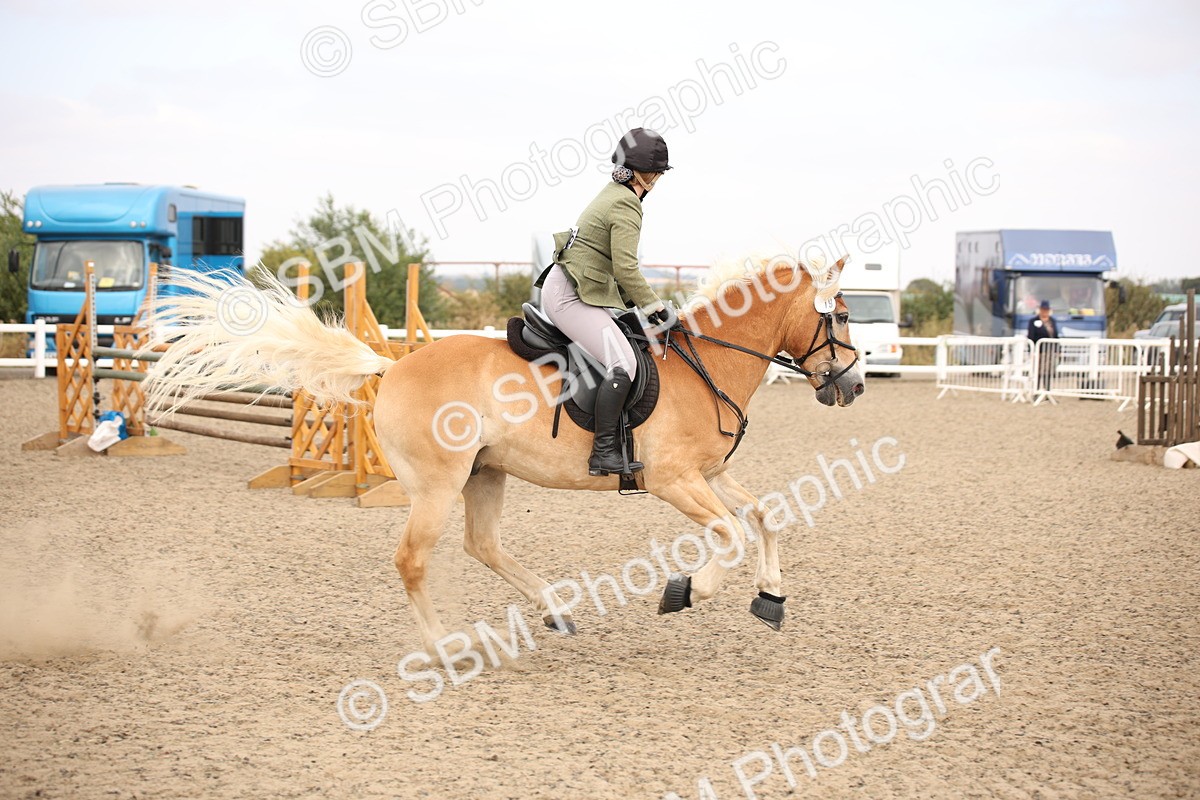 SBM_16177 - Class 409a - Working Veteran 80cm (15-19)