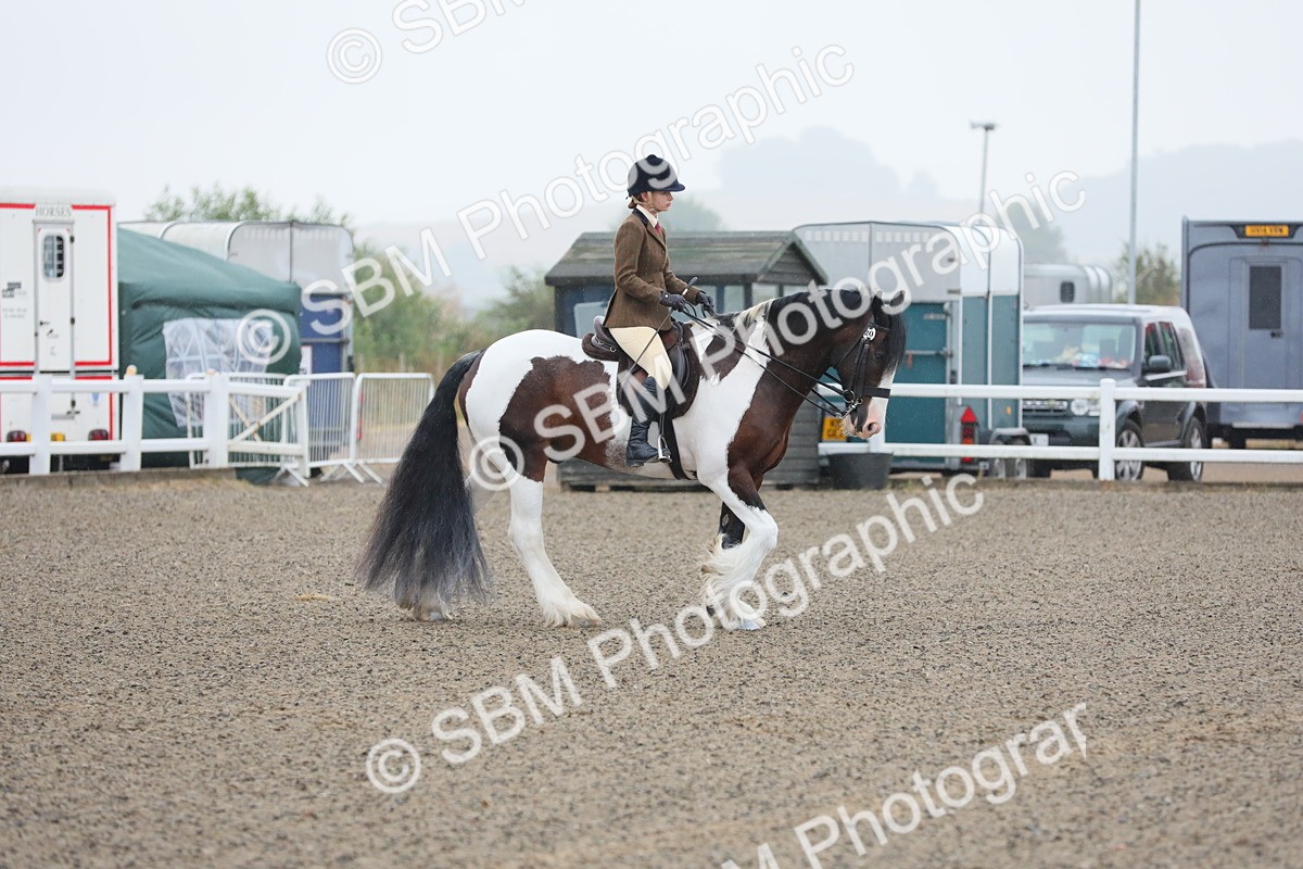 SBM_19841 - Class 801 - Ridden Veteran