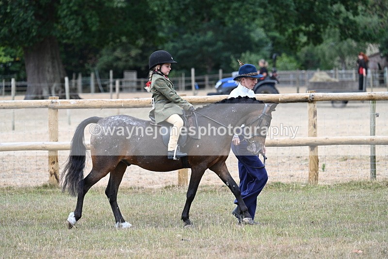 WJ7_0648 - Class 6 Ridden Mountain and Moorland