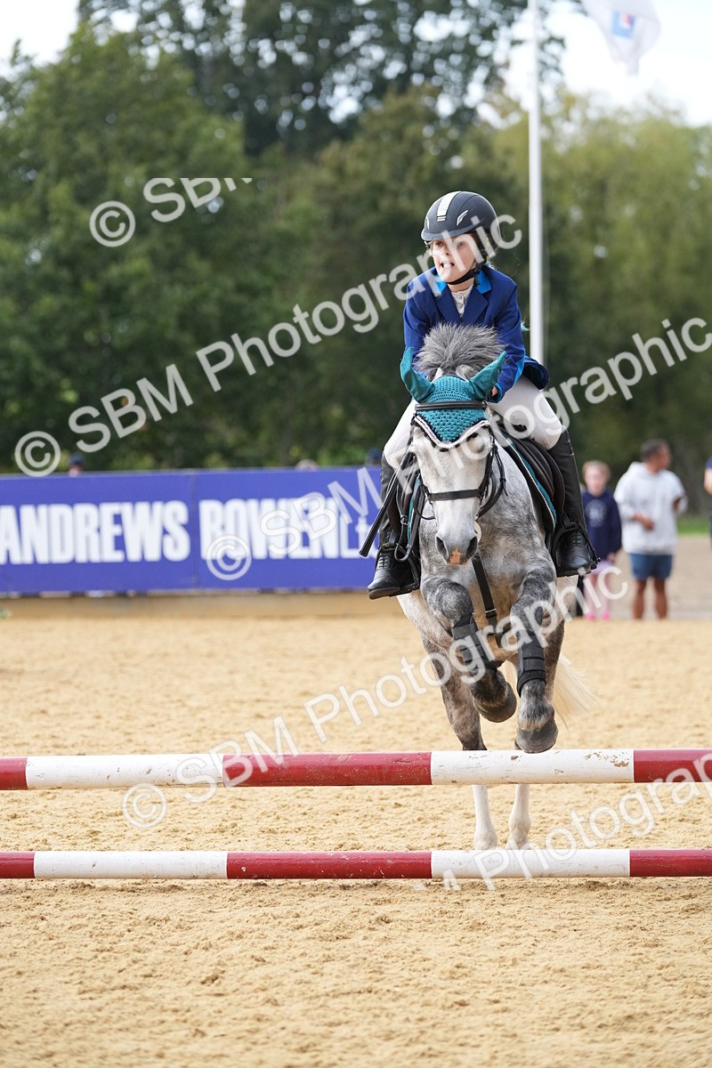 SBM_74704 - J4 - Mini Tour Junior Pony 45cm Championship