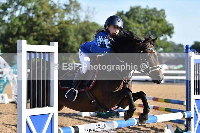 230903A-090154-03426 - Cls 17 Pony Intro 75cm