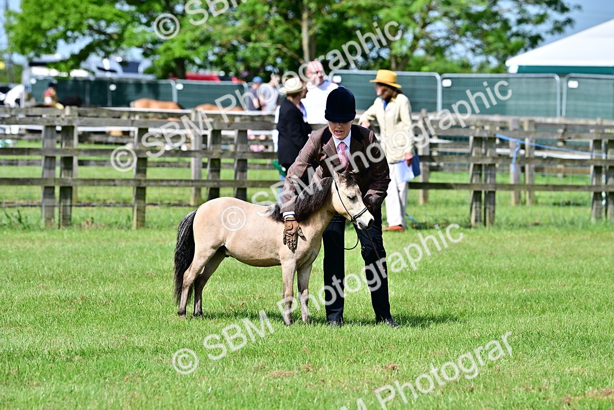 SBM_03573 - Class 55-57 - British Miniture of the year