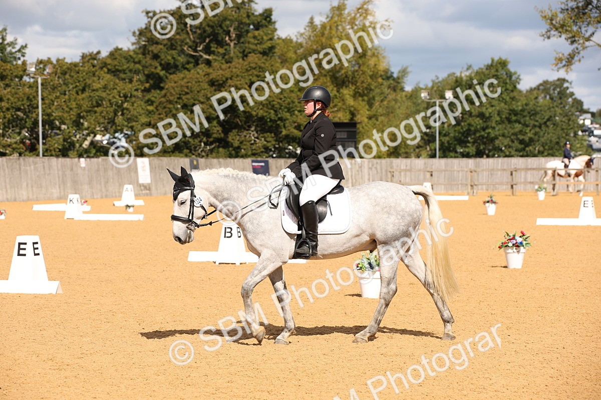 SBM_04350 - D2 Small Tour Championship Intro C